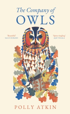 Owls, Owls, Owls