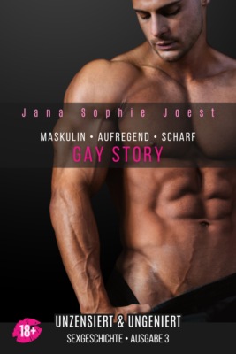 Gay Story - Ausgabe 3