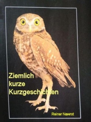 Ziemlich kurze Kurzgeschichten