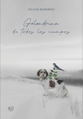 Golondrina de todos los campos