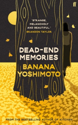 Dead-End Memories