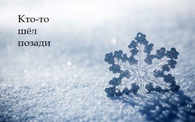 Кто-то шел позади