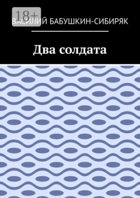 Два солдата