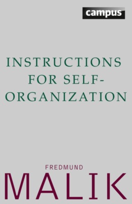 Instructions for Self-Organization