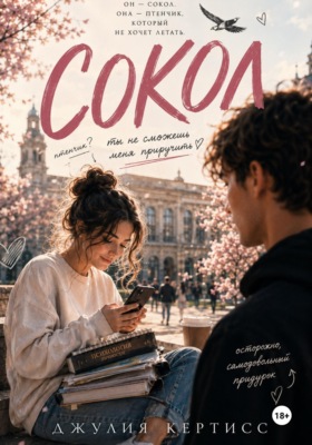 Сокол