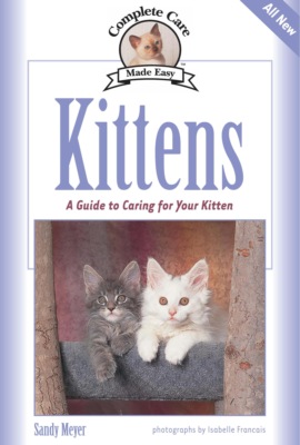 Kittens