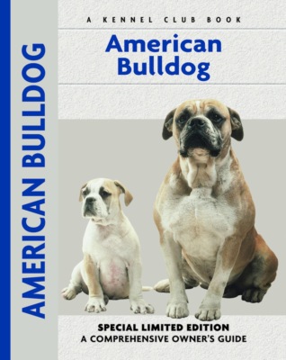 American Bulldog