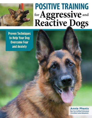 Positive Training for Aggressive and Reactive Dogs
