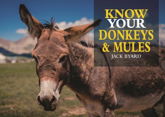Know Your Donkeys & Mules