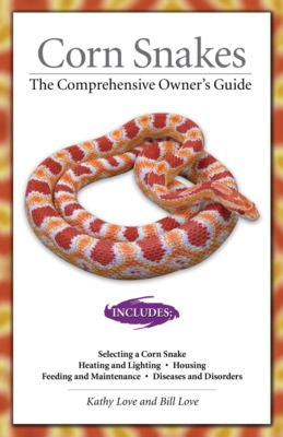 Corn Snakes