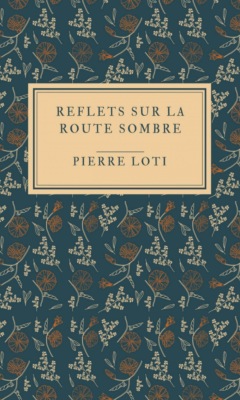 Reflets sur la route sombre