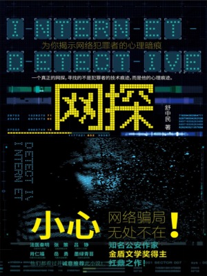 网探