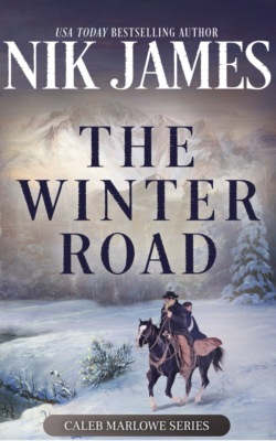 The Winter Road 