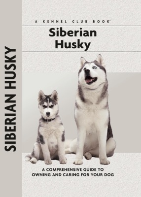 Siberian Husky