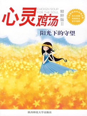 心灵鸡汤精粹版Ⅱ：阳光下的守望