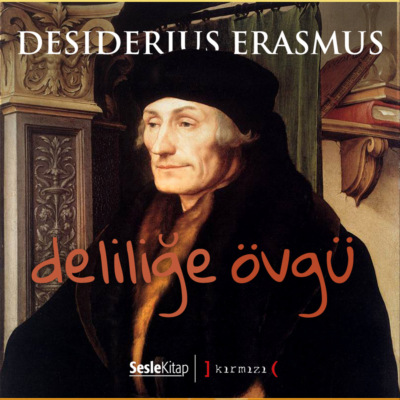 Deliliğe Övgü
