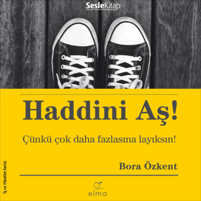 Haddini Aş