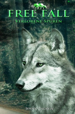 Free Fall - Verlorene Spuren