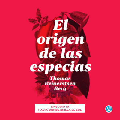 Hasta donde brilla el sol - El origen de las especias, Episodio 10
