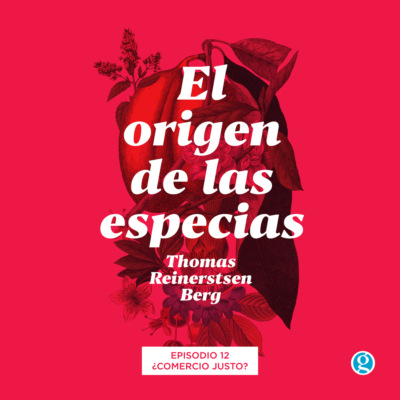 ¿Comercio justo? - El origen de las especias, Episodio 12