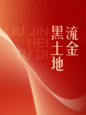 伟大的历程系列丛书：流金黑土地