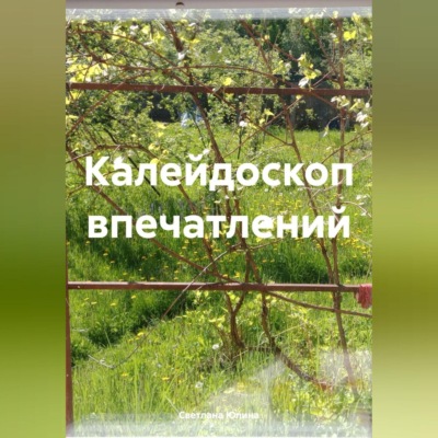 Калейдоскоп впечатлений