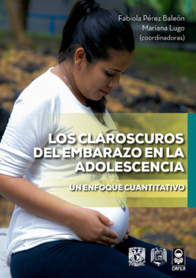 Los claroscuros del embarazo en la adolescencia. Un enfoque cuantitativo