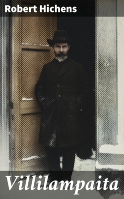 Villilampaita