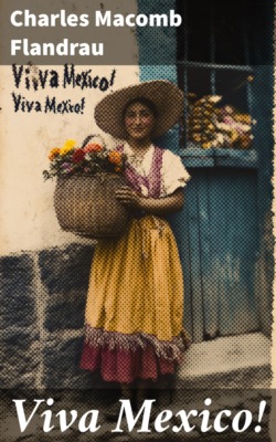 Viva Mexico!