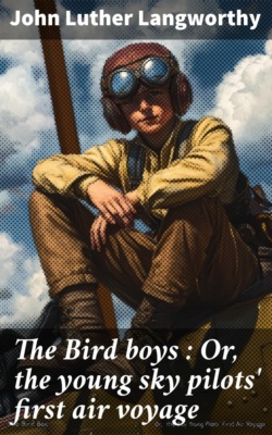 The Bird boys : Or, the young sky pilots' first air voyage