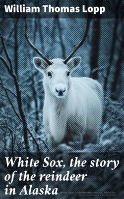 White Sox, the story of the reindeer in Alaska