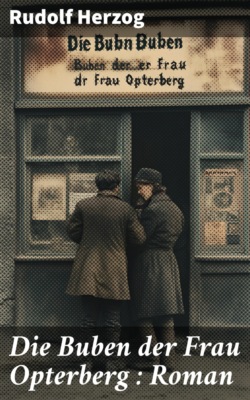 Die Buben der Frau Opterberg : Roman