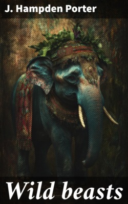 Wild beasts