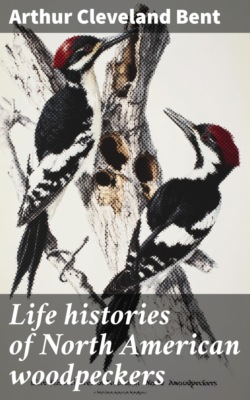 Life histories of North American woodpeckers