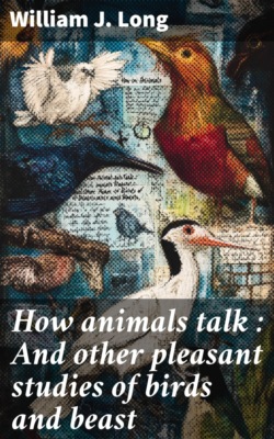 How animals talk : And other pleasant studies of birds and beast