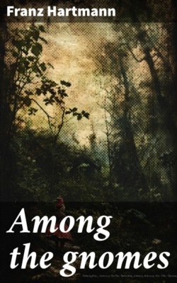 Among the gnomes