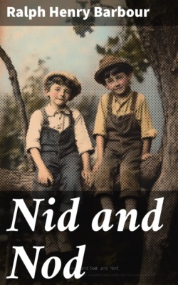 Nid and Nod
