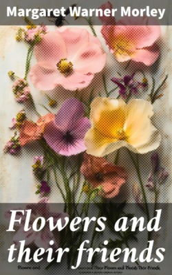 Flowers and their friends
