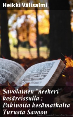 Savolainen "neekeri" kesäreissulla : Pakinoita kesämatkalta Turusta Savoon
