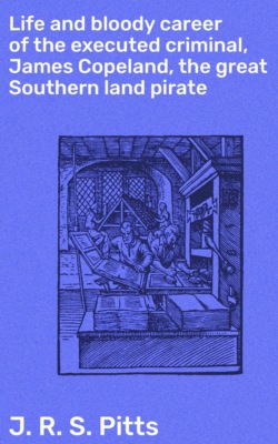 Life and bloody career of the executed criminal, James Copeland, the great Southern land pirate