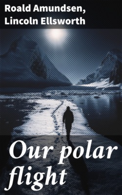 Our polar flight