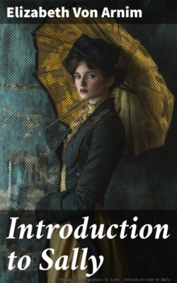 Introduction to Sally