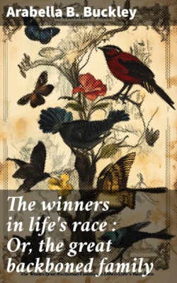 The winners in life's race : Or, the great backboned family