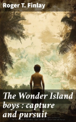 The Wonder Island boys : capture and pursuit
