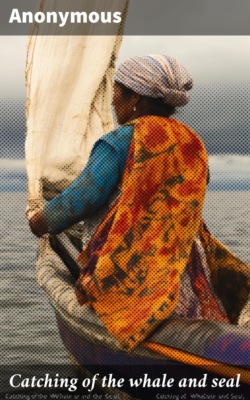 Catching of the whale and seal