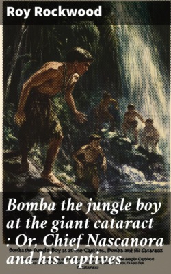 Bomba the jungle boy at the giant cataract : Or, Chief Nascanora and his captives