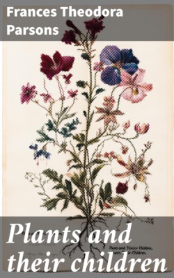 Plants and their children