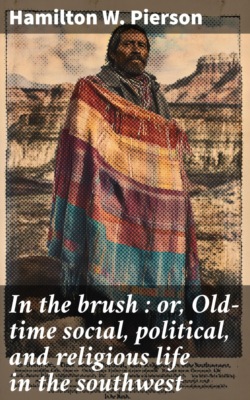 In the brush : or, Old-time social, political, and religious life in the southwest