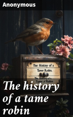 The history of a tame robin