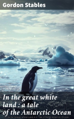 In the great white land : a tale of the Antarctic Ocean